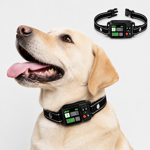 RoamGuard GPS Fence Collar